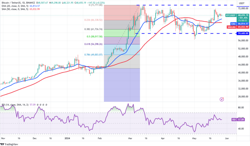 Plataforma de IA de Botradyx Lux